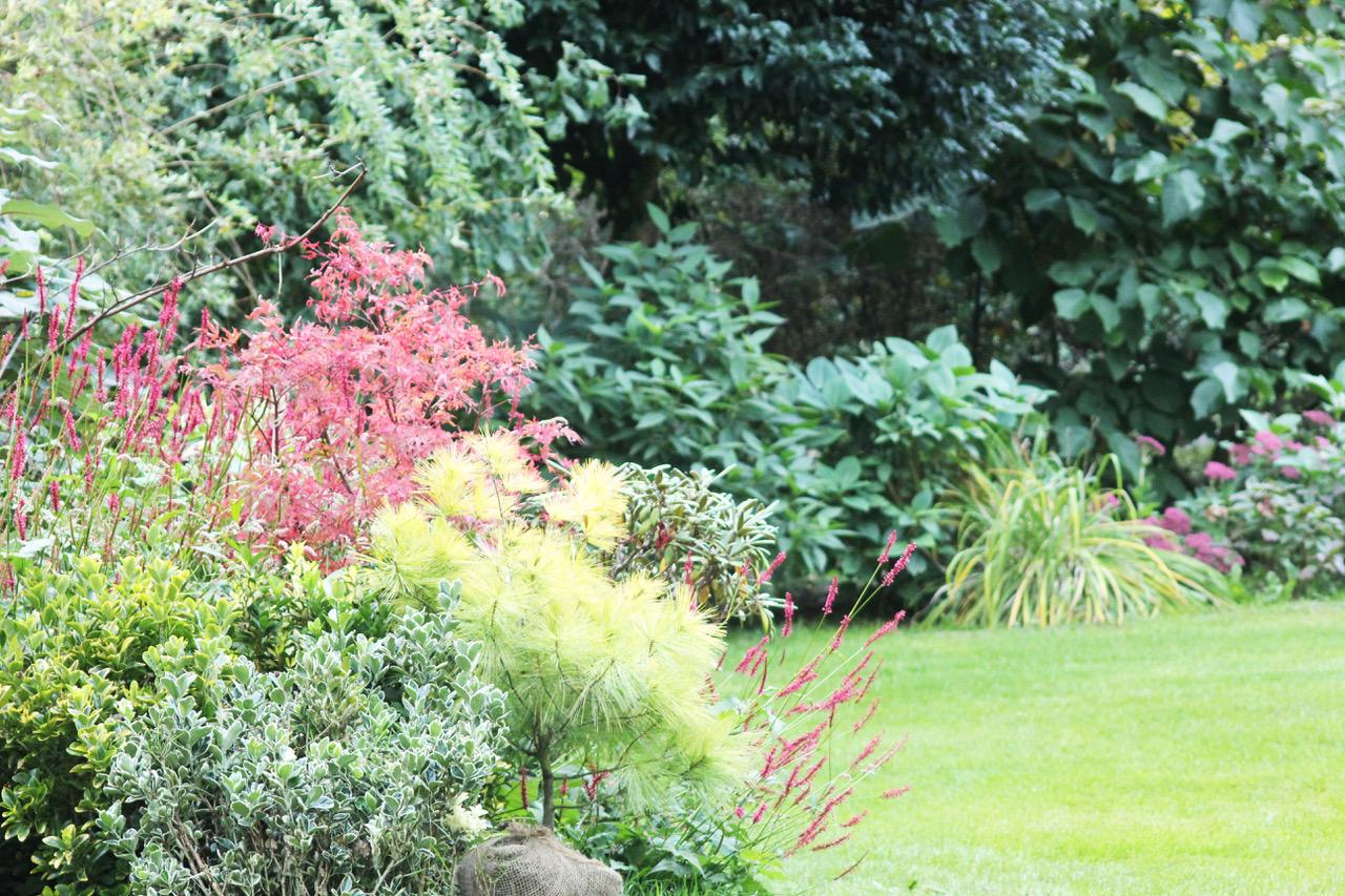 Jardinier conseils – Île-de-France