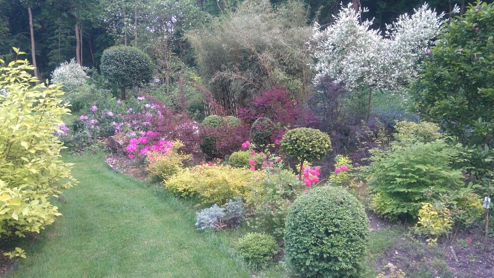 Amenagement massif Plailly